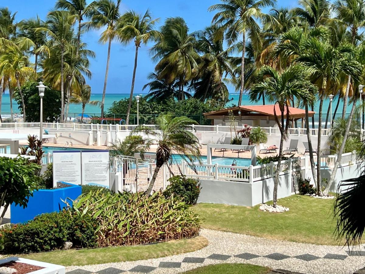 Beachfront Tropical Tantra Apartment San Juan Dış mekan fotoğraf